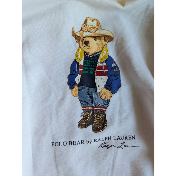 NWT Polo Ralph Lauren Polo Bear Colorblocked Fleece Hoodie Size XL #2E431 - Picture 6 of 8